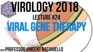 Virology Lectures 2018 24 Viral Gene Therapy [upl. by Jeroma]