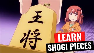 How to recognize Shogi pieces  How to play Shogi Lesson 2 [upl. by Mahan999]