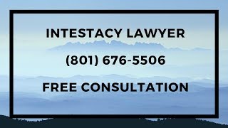 Intestacy Lawyer [upl. by Aiekram]