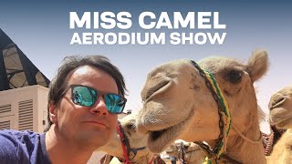 Flight show at Miss Camel 2017  AERODIUM [upl. by Stephannie]