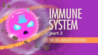 Immune System Part 3 Crash Course Anatomy amp Physiology 47 [upl. by Ahsiyt]