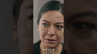 Senin her şeyin yalan  Winds of Love Episode 15 Promo shorts windsoflove rüzgarlıtepe [upl. by Adeys658]