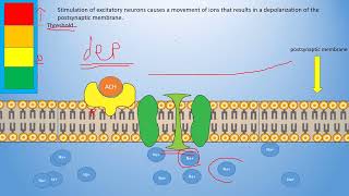 Pharmacology for Parkinsons Disease Understanding Treatment Options  لكجر الاول [upl. by Cadell15]