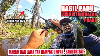 Mancing Ikan Haruan  Silap Gaya Patah LAgi ROD macam ni  lubuk Haruan Monster [upl. by Allare]