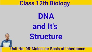 DNA and Its StructureClass 12th Biology [upl. by Chemaram]