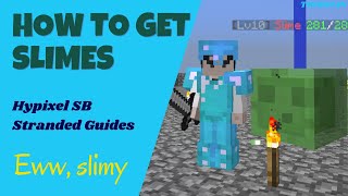 How to get Slimes FAST Hypixel Skyblock Stranded [upl. by Oiraved622]