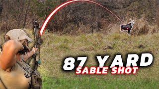 Impossible 87 yard Archery Shot on A Sable 😳  Sarah Bowmar [upl. by Bowman945]