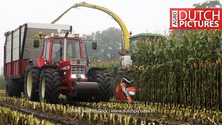 Good old John Deere 5830  International 856 XL  Harvesting maize  Mais hakselen  Corn [upl. by Attelocin]