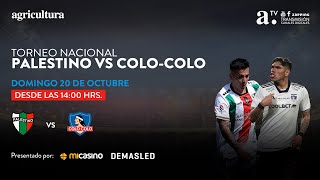 Palestino vs ColoColo  Torneo Nacional  Fecha 28  20102024 [upl. by Nerej]