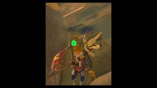 Zelda Breath Of The Wild BOTW shorts 389 [upl. by Arriet]