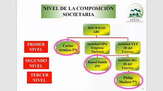 Anexo de Partícipes y Socios APS en el 2024  Guía Detallada y Ejemplos Prácticos [upl. by Samaria]