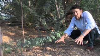 Greening the Desert Video  Parts I and II French Subtitles [upl. by Buroker]