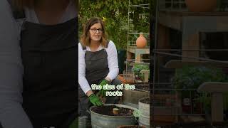 Gardening in Containers [upl. by Blandina]