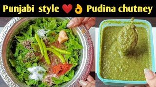 पुदीना चटनी 😋 Pudina chutney recipe  Pudina chutney without corianderdhaniya  Mint chutney recipe [upl. by Addiel]