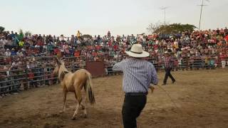 Rodeo Montubio Naranjal 2016 [upl. by Telfer107]