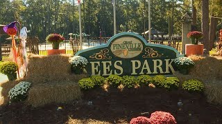 Pineville prepares for 19th annual Fall Fest [upl. by Ahsiekrats196]