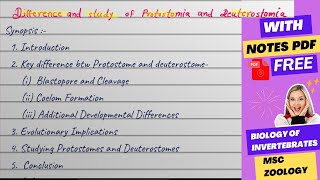 Difference and study of Protostomia and Deuterostomia Msc zoology notes [upl. by Meagan]