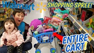 WALMART SHOPPING SPREE WE LET ARI FILL HER ENTIRE SHOPPING CART BUYS TOYS CLOTHES amp CANDY [upl. by Edmund593]