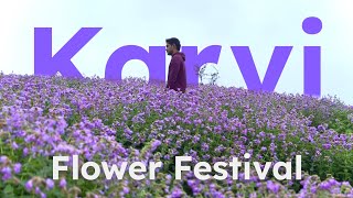 Karvi Flower Festival  Lonavala  Maharashtra [upl. by Eeram]