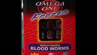 Feeding OMEGA ONE Frozen Blood Worms from PetSmart  FISH LOVE IT [upl. by Reyem]