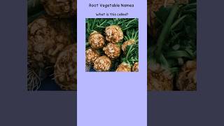 Indian common Root Vegetable Names english indianvegan vegetables vocabulary [upl. by Cyd]