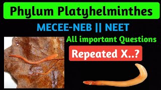 Phylum Platyhelminthes  Conceptual Questions series  CEEMEC NEETAIIMSNEB [upl. by Lenna616]