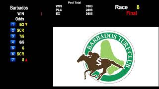 Barbados Turf Club Live Stream [upl. by Demha]