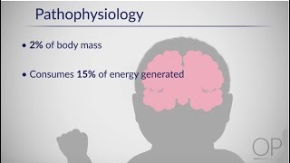 Therapeutic Hypothermia Treatment of Hypoxic Ischemic Encephalopathy Part 1 by D Casey [upl. by Naimaj]