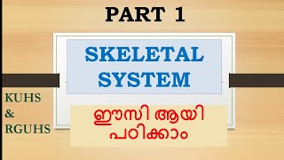 Skeletal system explained in malayalam with diagramNursesMotiveKUHSRGUHS [upl. by Garreth197]