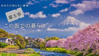 あなたの知らない静岡の絶景 4 東部地区【富士市】この町への移住とそのリスク [upl. by Eniad]