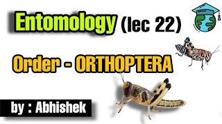 Order ORTHOPTERA • Entomology lec 22 • Go for Agriculture icar  bhu ibps entomology [upl. by Mallen]