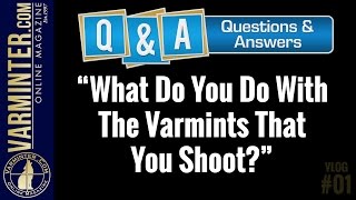 Varminter QampA VLOG 1  What Do You Do With The Varmints That You Shoot [upl. by Dottie692]