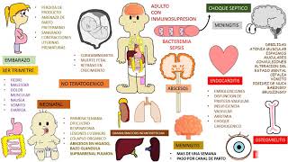 LISTERIA MONOCYTOGENES  LISTERIOSIS [upl. by Cost786]