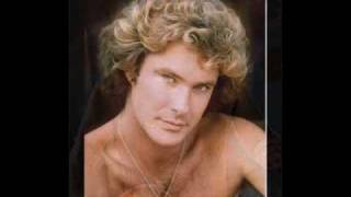 David Hasselhoff is gay [upl. by Valencia]