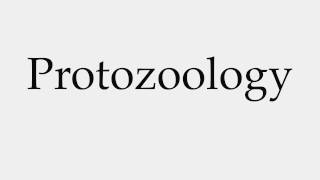 How to Pronounce Protozoology [upl. by Hocker]