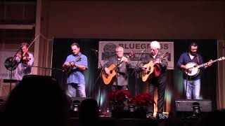 Bluegrass Cardinals Tribute Band SBGF 2022 11 25 2133 quot quot 0944 [upl. by Gilburt]