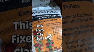 How to FIX Clay soil for growing Grass [upl. by Aneekas]