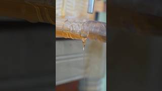 Flow Hive Leaking During Harvest beekeeping beekeeper flowhive honey honeyharvest beehive [upl. by Mharba]