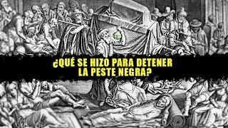 ¿Qué se hizo para detener la peste negra [upl. by Madai]