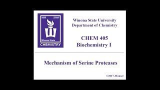 CHEM 405  Serine Protease Mechanism [upl. by Bordie]