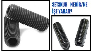 SETSKUR NEDİRNE İŞE YARAR [upl. by Murton]