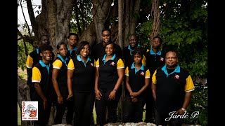 St Lucia We Love  Mongsta Performed by Pantime Steel Orchestra [upl. by Madeleine443]