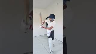 Flick Shot practice home😄😁 cricketvideos viralshorts trending viratkohli videoviral viral [upl. by Chavaree]