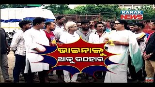 PotatoOdishaWest Bengal Loka Nakali Katha Asali  Kanak News [upl. by Angelis303]