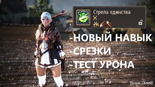 БДО Лучница Новый Скилл Срезки Тест уронаBDO Ranger New Skill Animation Skip Demage Tests [upl. by Fauver]