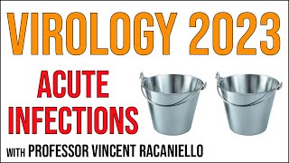 Virology Lectures 2023 16 Acute infections [upl. by Daus]