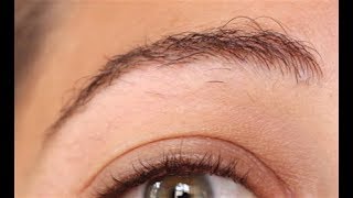 Bilan repousse sourcils après 5 mois  ✨ Marion Blush [upl. by Yror]