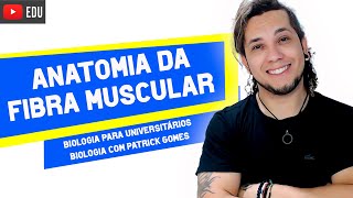 ANATOMIA E CONTRAÇÃO DA FIBRA MUSCULAR  AULA ESPECIAL [upl. by Namref]