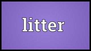 Litter Meaning [upl. by Donella]