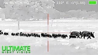 107 Hogs Down  Hog Hunting with Thermal Night Vision in Texas  Zeus Pro 640 [upl. by Stephenson934]